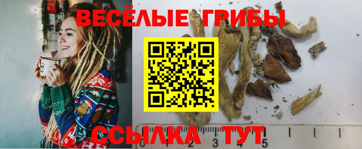 Чапаевск  Галлюциногенные грибы мицелий  Вход с VPN  хочу наркоту  Галлюциногенные грибы ЛСД 